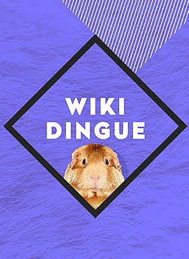 Cochon Dingue - Saisons 1 et 2