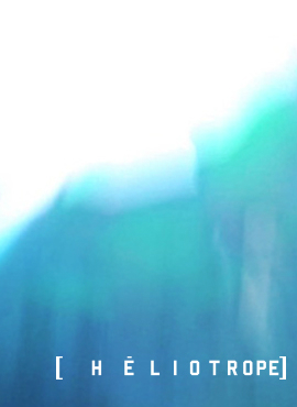 Héliotrope