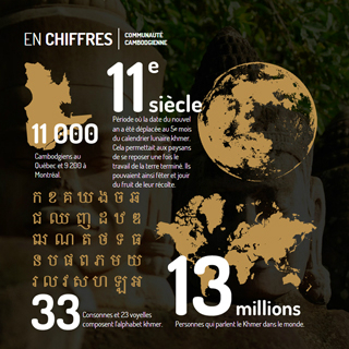 InfoGraphic Combodge