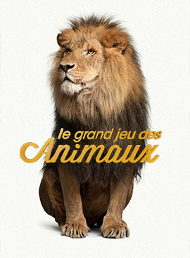 Le grand jeu des animaux