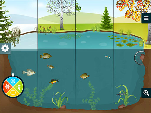 Aquaverse_pond