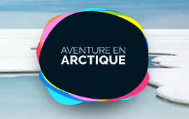 Aventure en Arctique